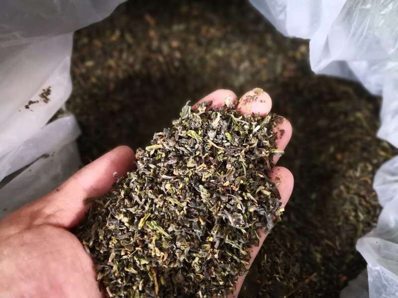 茶碎末茶叶碎渣、茶梗茶末、黄片叶欢迎电话咨询