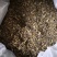 茶碎末茶叶碎渣、茶梗茶末、黄片叶欢迎电话咨询