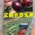 艾斯卡嘉宝果实生苗非四季红妃大白果阿苏保利斯塔