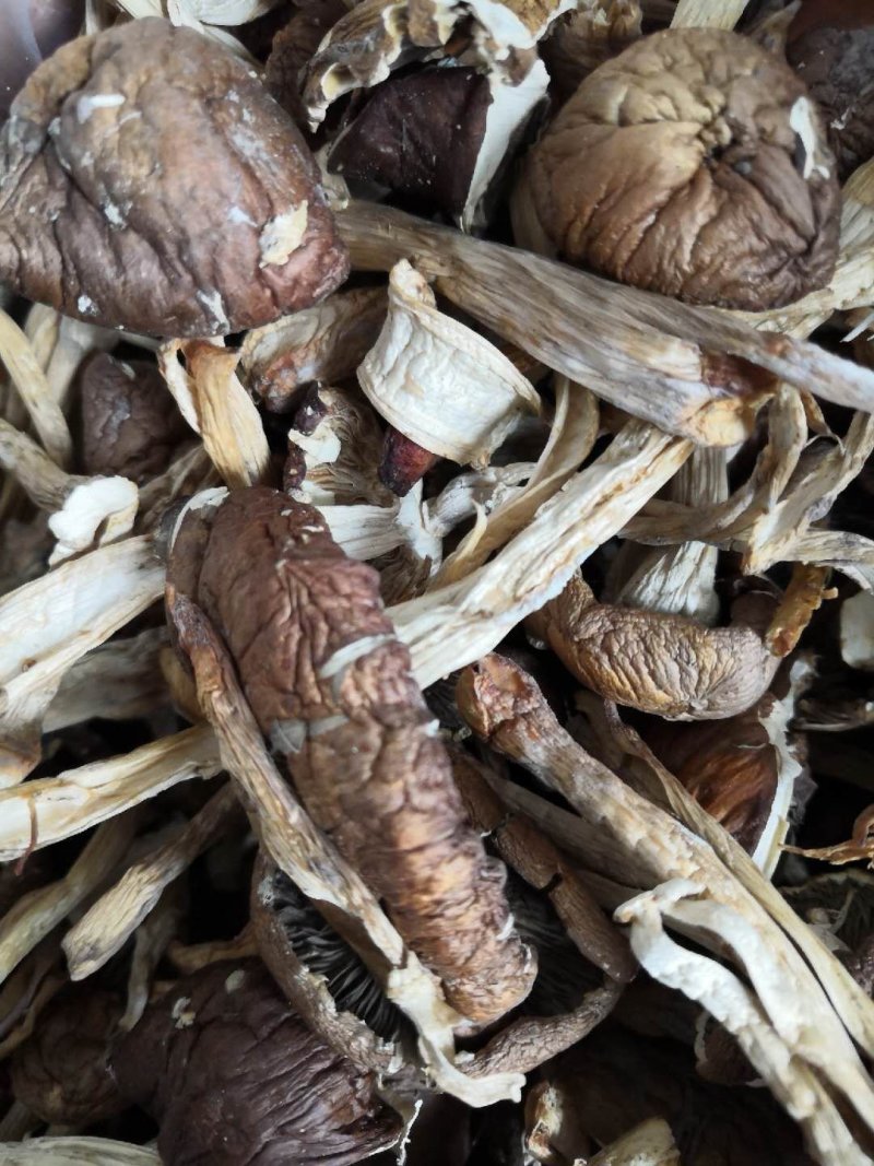 蘑菇，干蘑菇，干货，食用菌，姬松茸，茨菇，