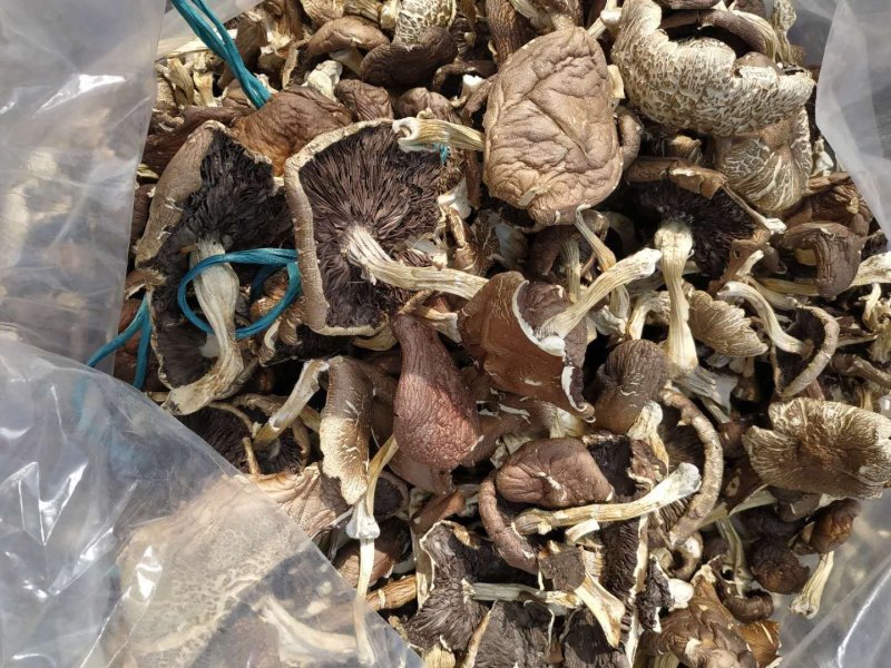蘑菇，干蘑菇，干货，食用菌，姬松茸，茨菇，