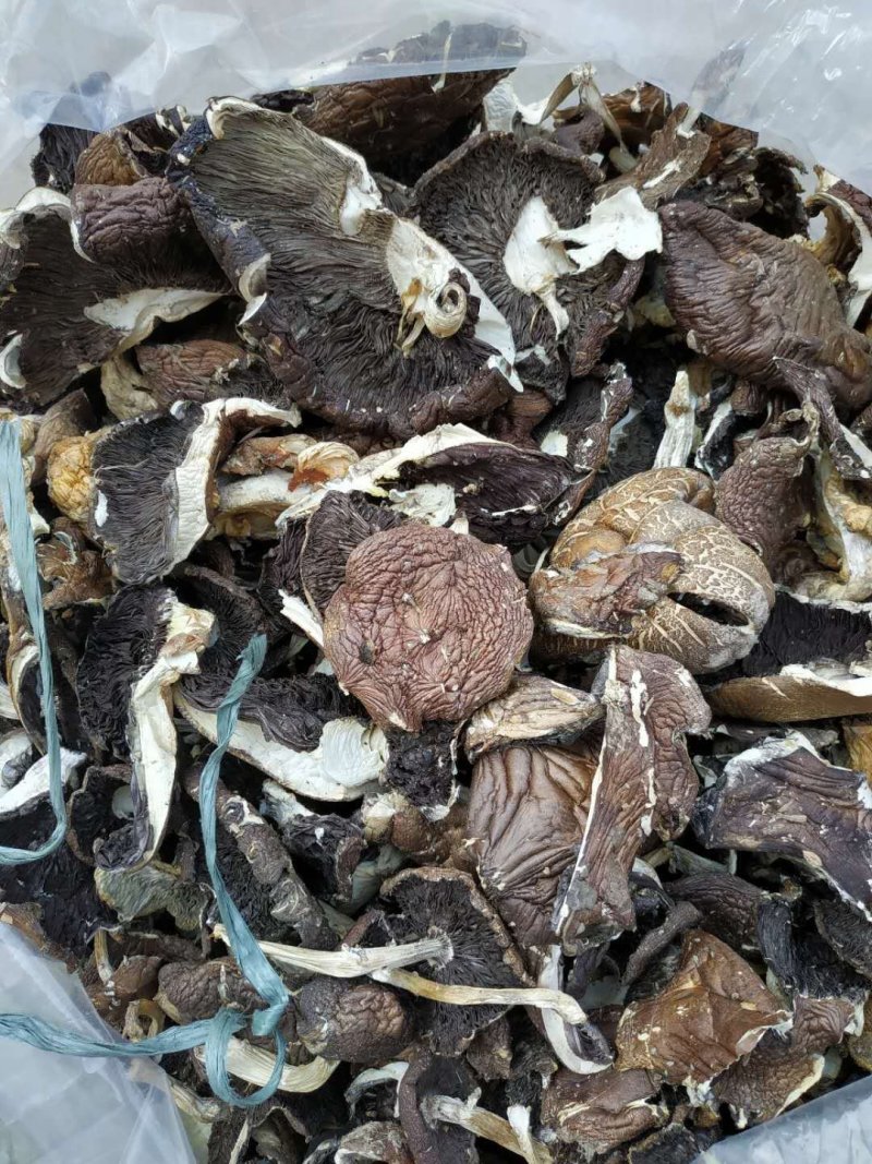 蘑菇，干蘑菇，干货，食用菌，姬松茸，茨菇，