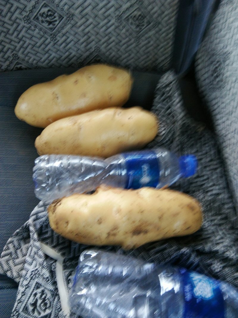 基地新土豆大量现货供应，需要的速联系我！……
