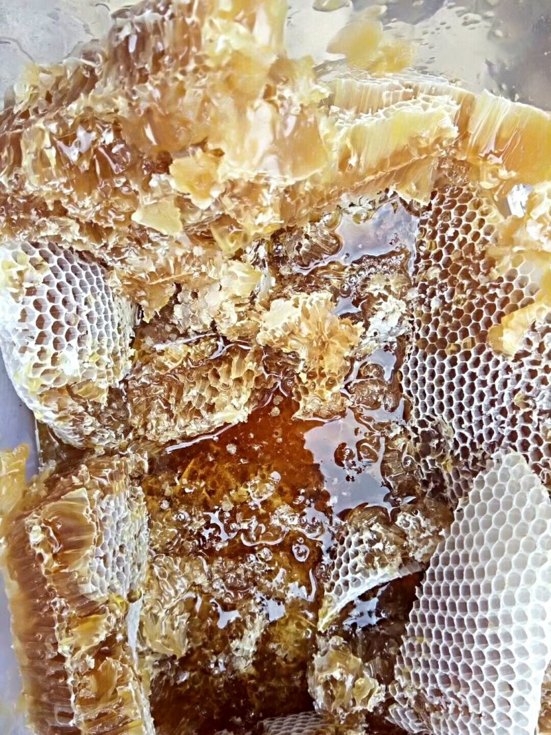 野生蜂蜜，一斤一瓶，玻璃瓶装的