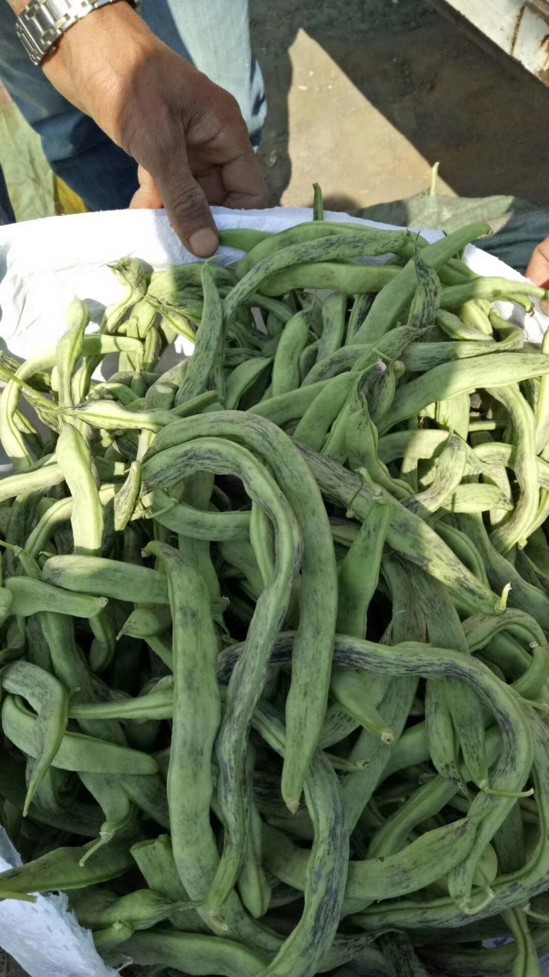 精品花豆角