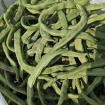 精品花豆角