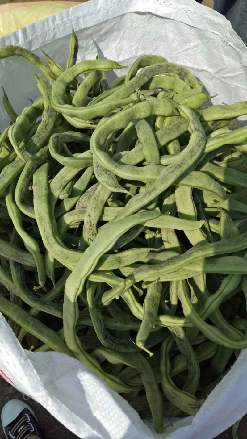 精品花豆角