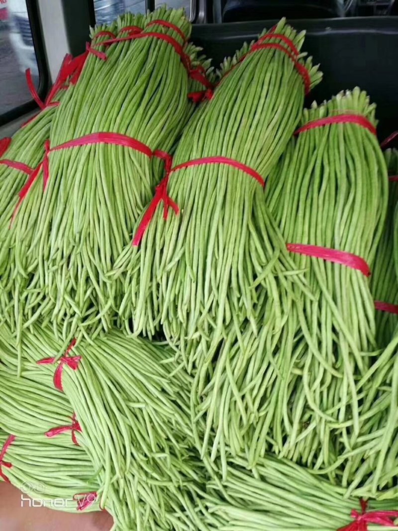 热卖【基地供货】豆角，豇豆，翠绿，质量保证，量大从优