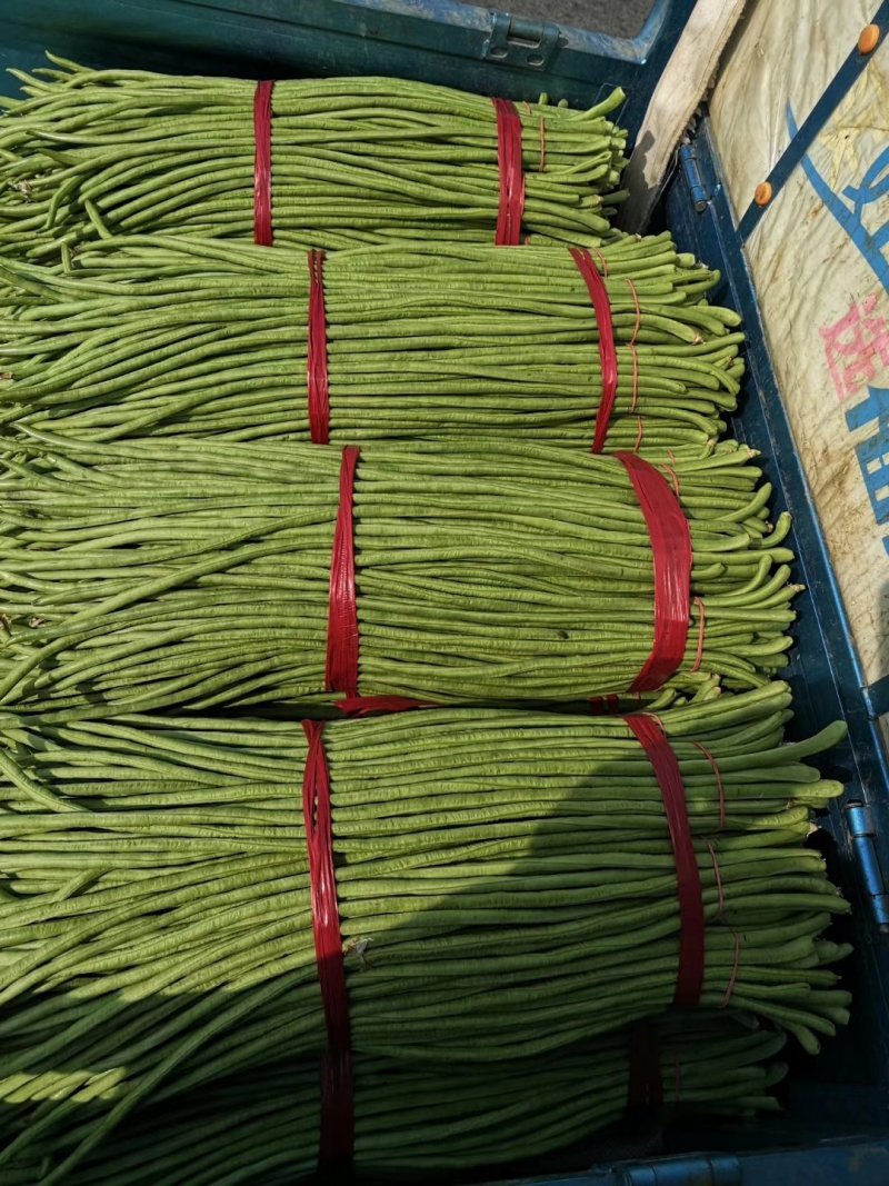 热卖【基地供货】豆角，豇豆，翠绿，质量保证，量大从优