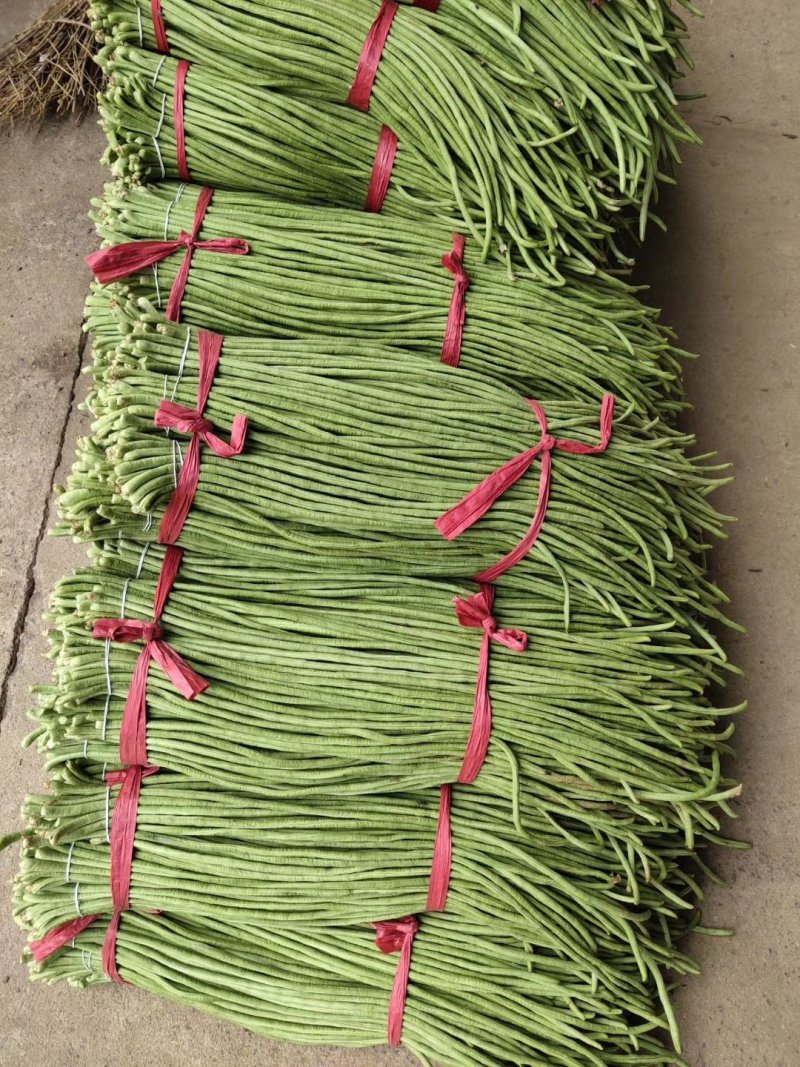 热卖【基地供货】豆角，豇豆，翠绿，质量保证，量大从优