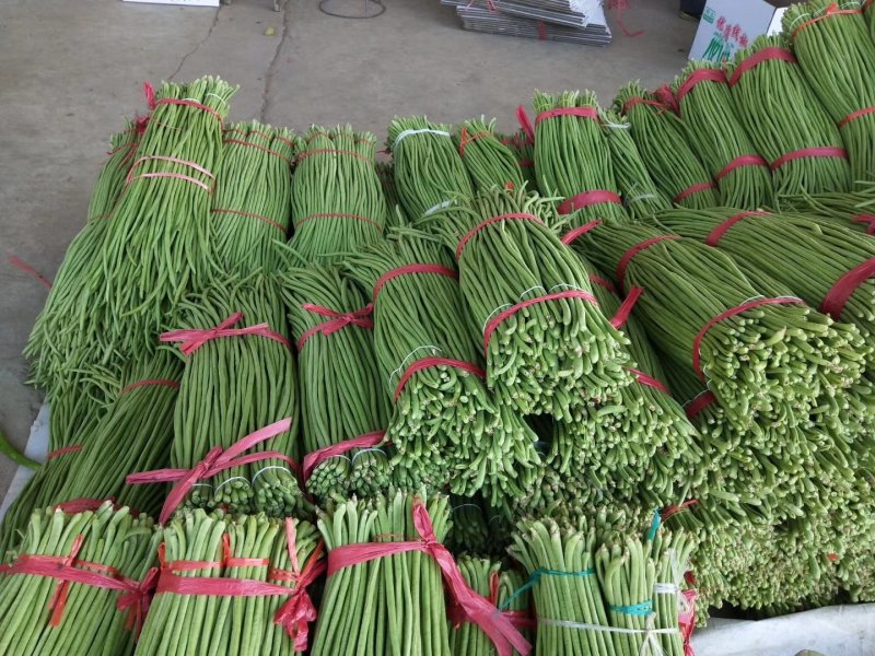 热卖【基地供货】豆角，豇豆，翠绿，质量保证，量大从优