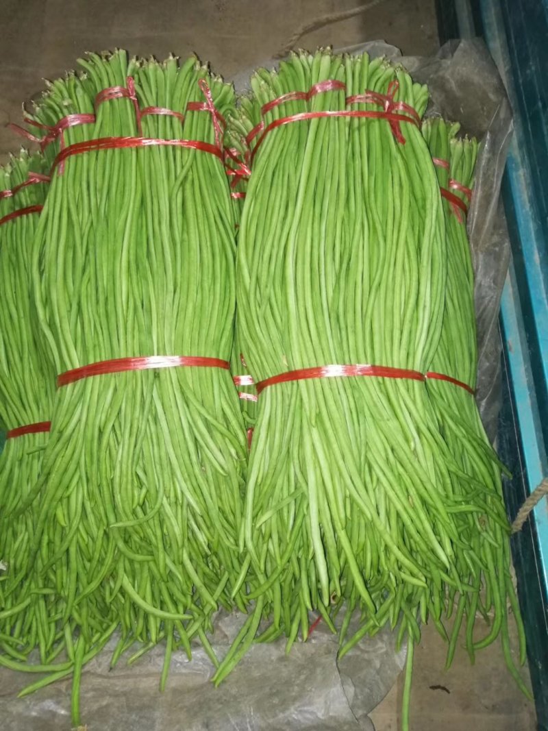 热卖【基地供货】豆角，豇豆，翠绿，质量保证，量大从优