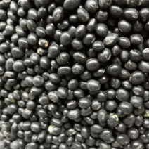 黑豆。东北黑豆抛光比重色选