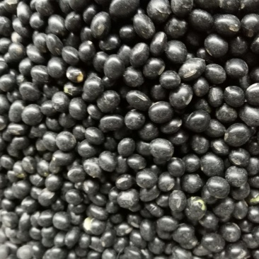 黑豆。东北黑豆抛光比重色选