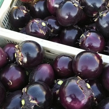 茄子🍆