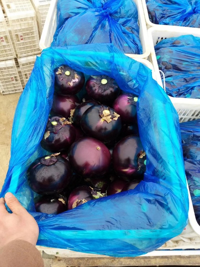 茄子🍆