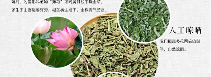薄荷中药材批发零售