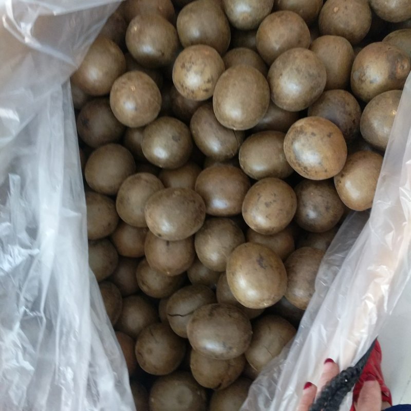 振兴药材批发供应罗汉果规格齐全产地直供一手货源全国发货