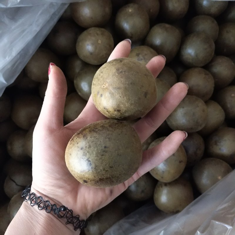 振兴药材批发供应罗汉果规格齐全产地直供一手货源全国发货