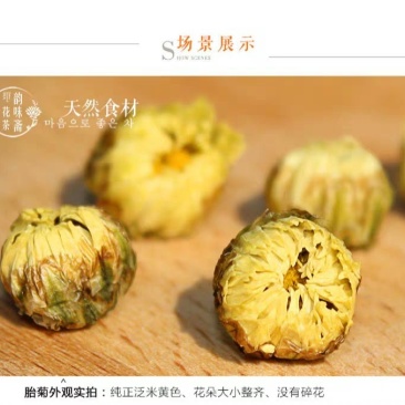 胎菊王