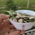 2019年新蚕豆、干蚕豆颗粒饱满