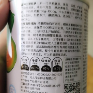 羊角酥种子