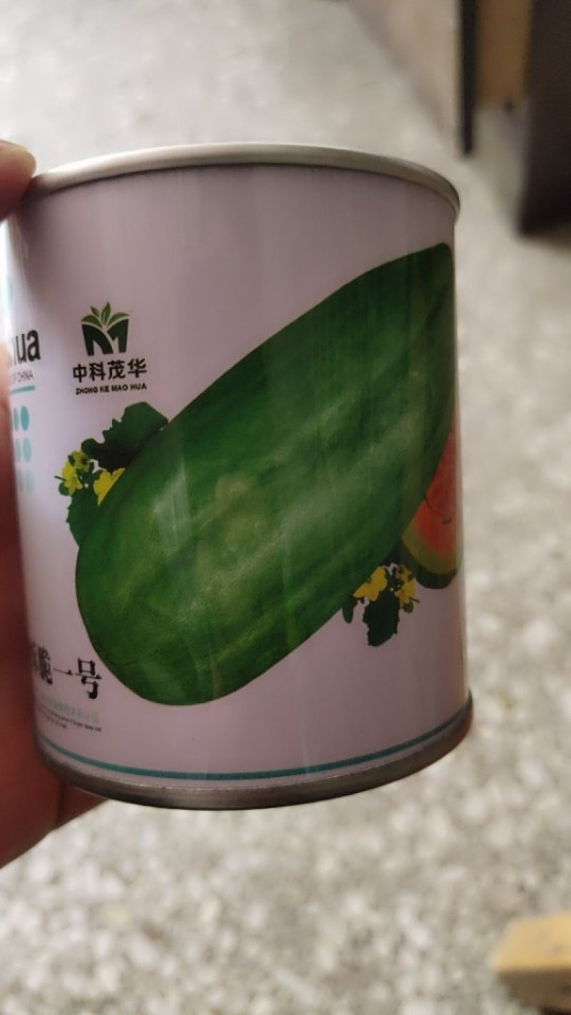 羊角酥种子