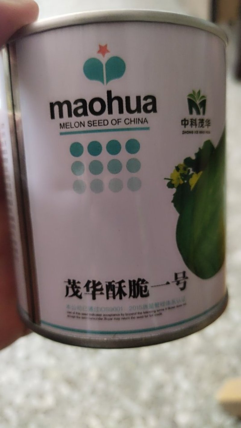 羊角酥种子