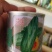 羊角酥