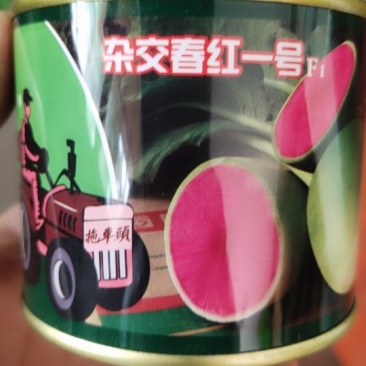 杂交春红一号