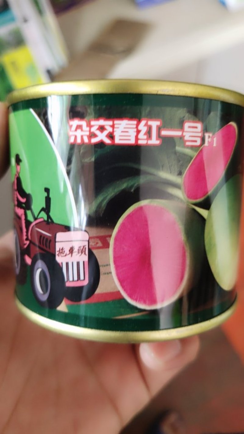 杂交春红一号