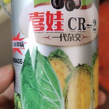 喜娃CR_2