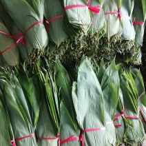 大量粽叶出售鲜叶干叶匀有合作共赢