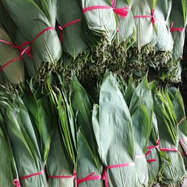大量粽叶出售鲜叶干叶匀有合作共赢