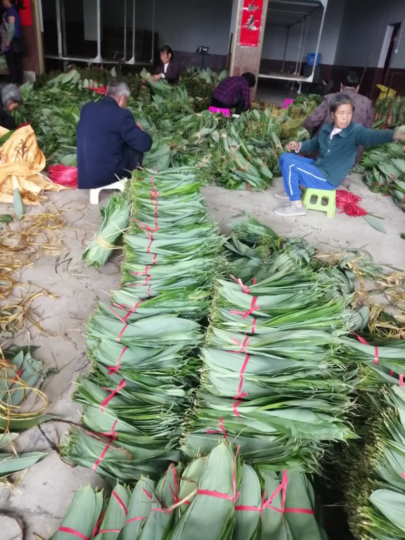 大量粽叶出售鲜叶干叶匀有合作共赢