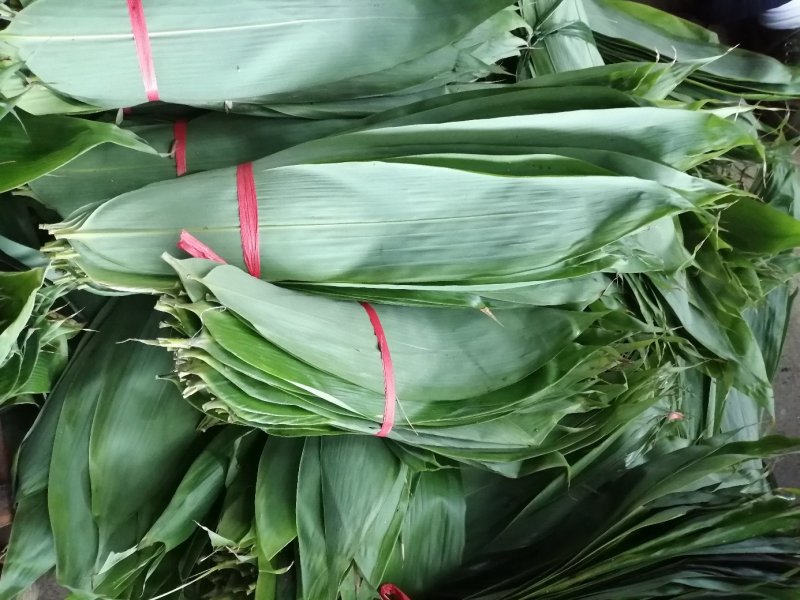 大量粽叶出售鲜叶干叶匀有合作共赢