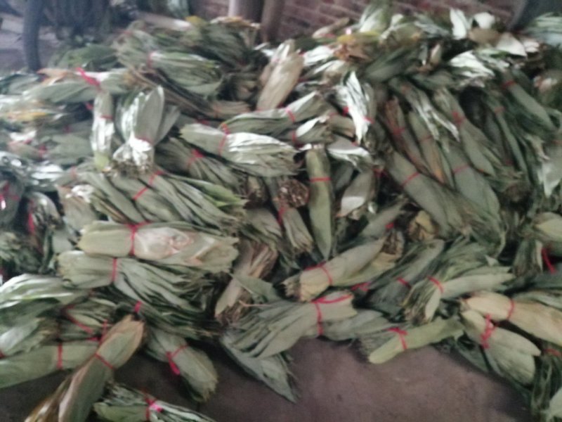 大量粽叶出售鲜叶干叶匀有合作共赢