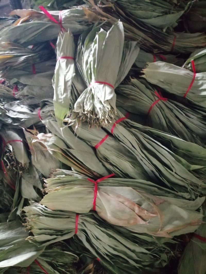 大量粽叶出售鲜叶干叶匀有合作共赢