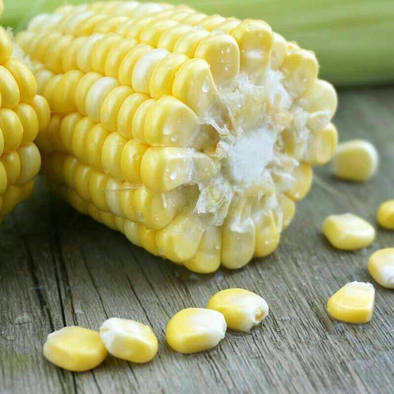 水果玉米