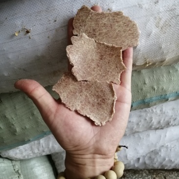 花生饼，纯仁冷榨，颜色厚度如图，