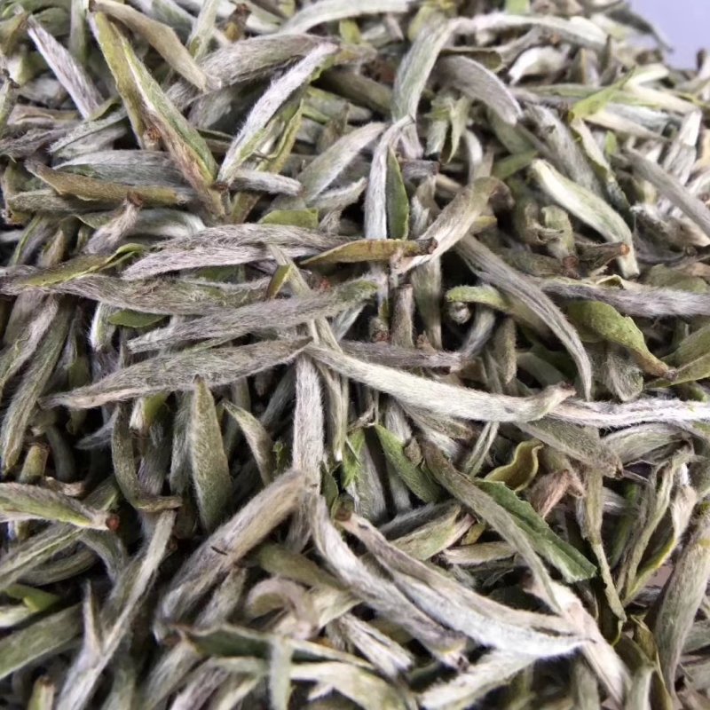 福鼎白茶高山头春白毫银针