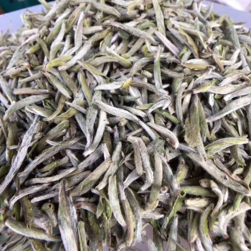 福鼎白茶高山头春白毫银针