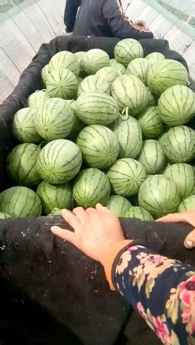 全美2k价格便宜了量大从优客户满意是我们最大的心愿