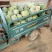 2023各种冬瓜上市，产地直供，水果冬瓜，一串玲