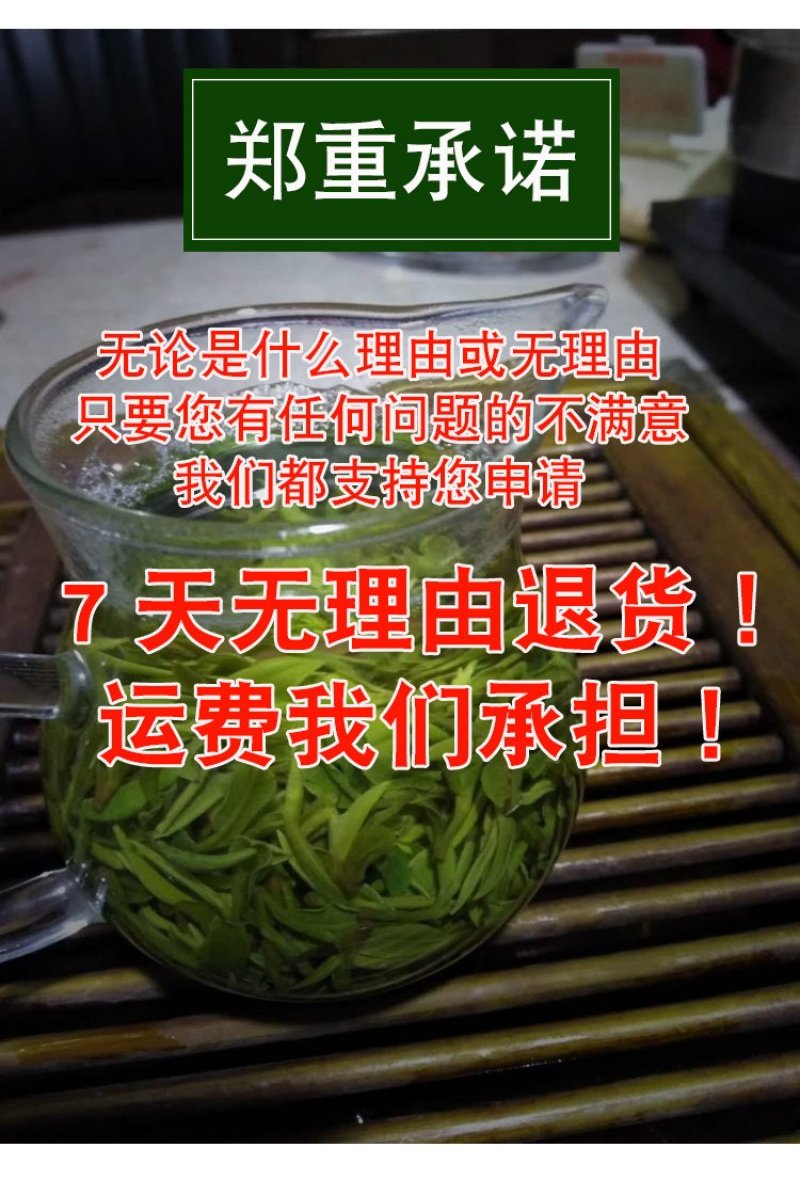【喝好茶】2023新茶厂家批发正宗日照绿500g包邮尝鲜
