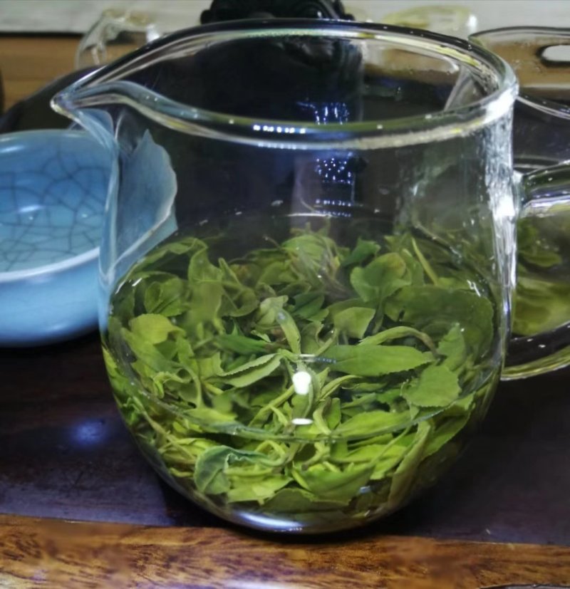 【喝好茶】2023新茶厂家批发正宗日照绿500g包邮尝鲜