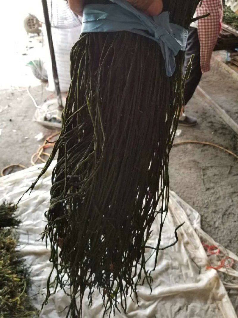 干豆角烘干豆角豇豆干货农产品产地直发***剂