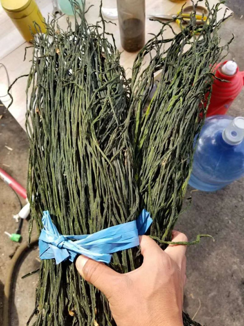 干豆角烘干豆角豇豆干货农产品产地直发***剂
