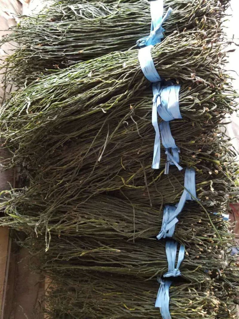 干豆角烘干豆角豇豆干货农产品产地直发***剂