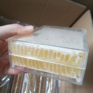 500g洋槐巢蜜